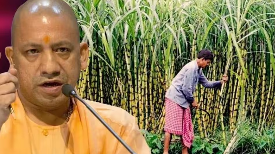 यूपी के गन्ना किसानों को मिलेगा फायदा, केंद्र सरकार ने लिया बड़ा फैसला